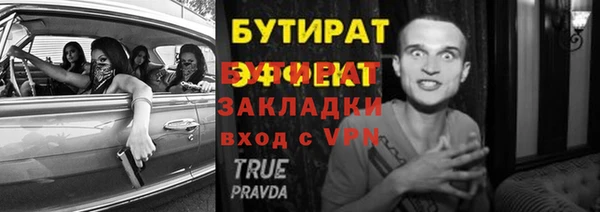 индика Надым