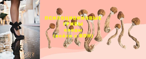 мяу мяу мука Михайловка