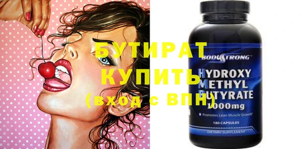индика Надым