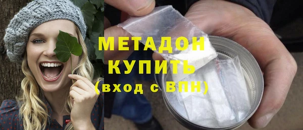 индика Надым