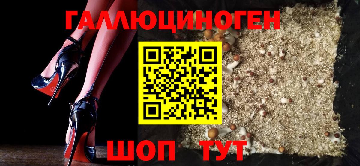 Галлюциногенные грибы мухоморы  Вход с VPN  Стерлитамак  что такое   Псилоцибиновые грибы мицелий 